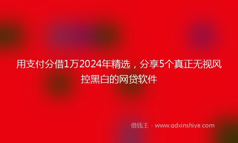 用支付分借1万2024年精选，分享5个真正无视风控黑白的网贷软件