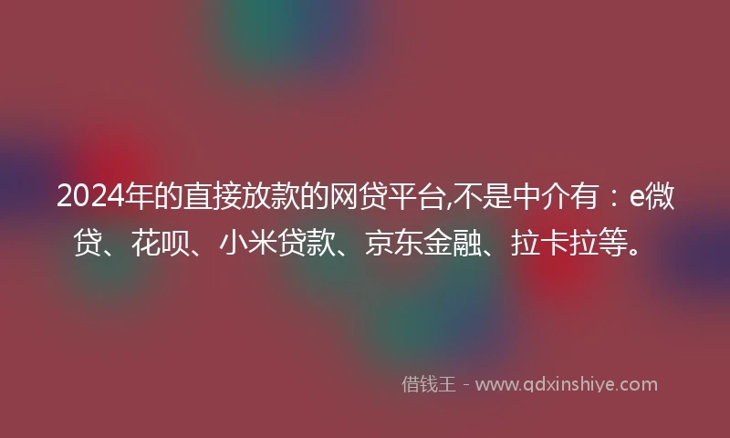 2024年的直接放款的网贷平台,不是中介有：e微贷、花呗、小米贷款、京东金融、拉卡拉等。