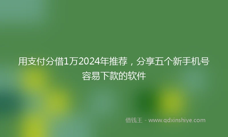 用支付分借1万2024年推荐,分享五个新手机号容易下款的软件