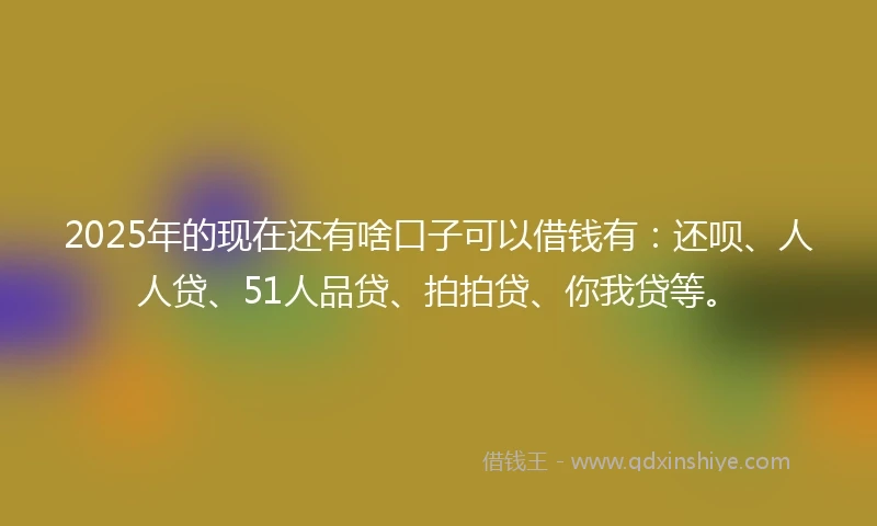 2025年的现在还有啥口子可以借钱有：还呗、人人贷、51人品贷、拍拍贷、你我贷等。