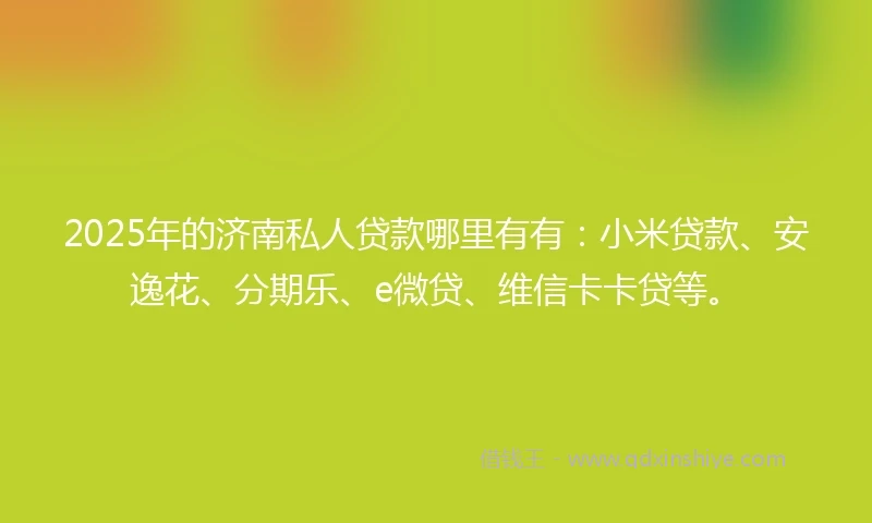 2025年的济南私人贷款哪里有有：小米贷款、安逸花、分期乐、e微贷、维信卡卡贷等。