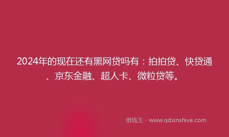 2024年的现在还有黑网贷吗有：拍拍贷、快贷通、京东金融、超人卡、微粒贷等。