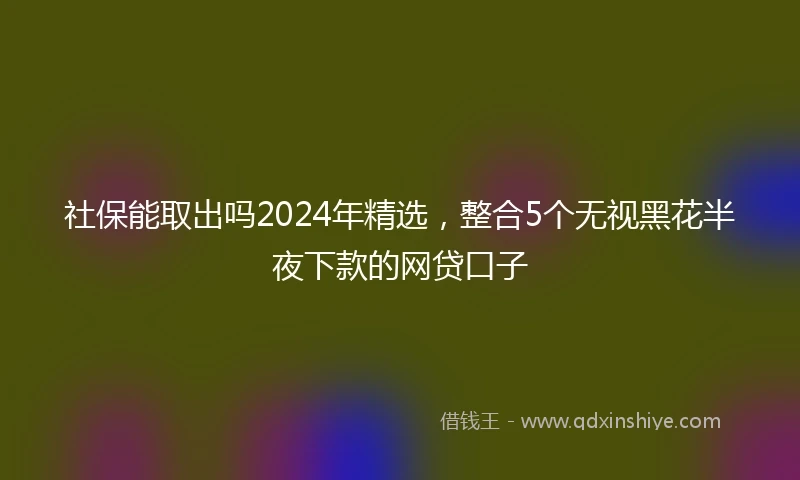 社保能取出吗2024年精选，整合5个无视黑花半夜下款的网贷口子