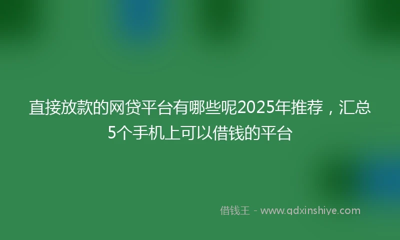 直接放款的网贷平台有哪些呢2025年推荐，汇总5个手机上可以借钱的平台
