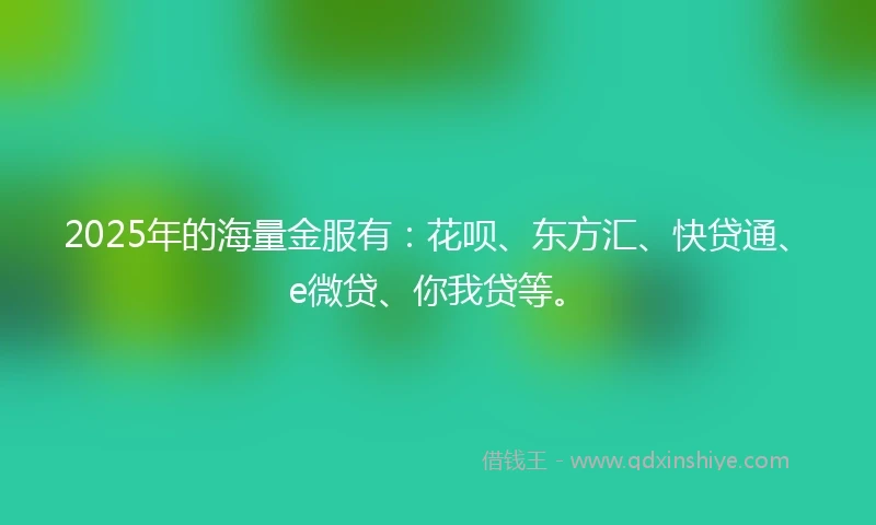 2025年的海量金服有：花呗、东方汇、快贷通、e微贷、你我贷等。