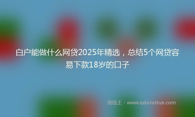 白户能做什么网贷2025年精选，总结5个网贷容易下款18岁的口子