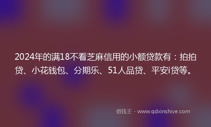 2024年的满18不看芝麻信用的小额贷款有：拍拍贷、小花钱包、分期乐、51人品贷、平安i贷等。