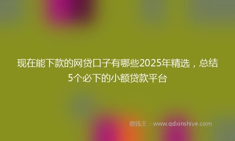 现在能下款的网贷口子有哪些2025年精选，总结5个必下的小额贷款平台