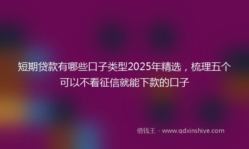 短期贷款有哪些口子类型2025年精选，梳理五个可以不看征信就能下款的口子