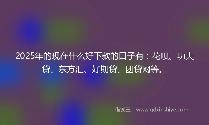 2025年的现在什么好下款的口子有：花呗、功夫贷、东方汇、好期贷、团贷网等。