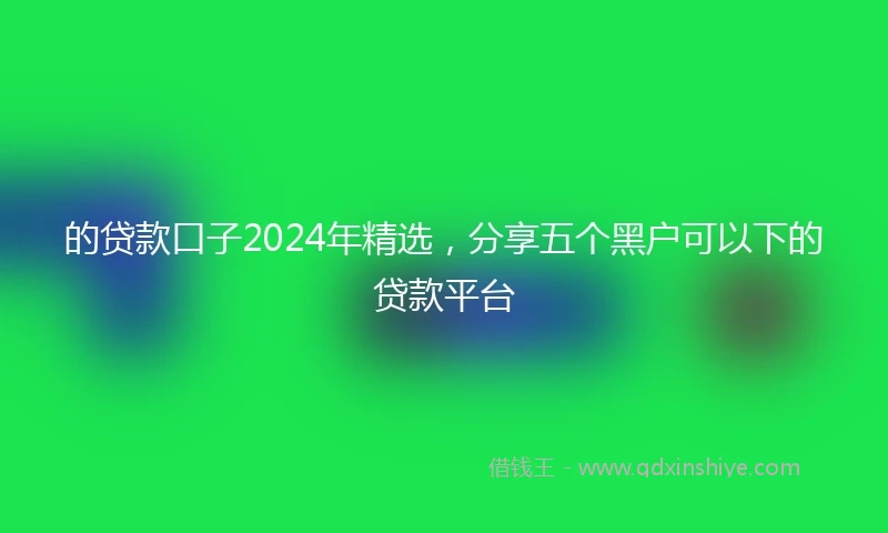 的贷款口子2024年精选，分享五个黑户可以下的贷款平台