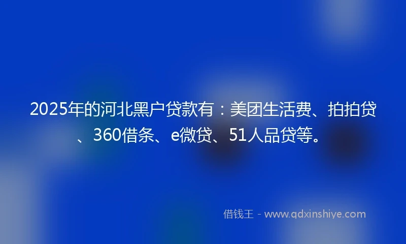 2025年的河北黑户贷款有：美团生活费、拍拍贷、360借条、e微贷、51人品贷等。