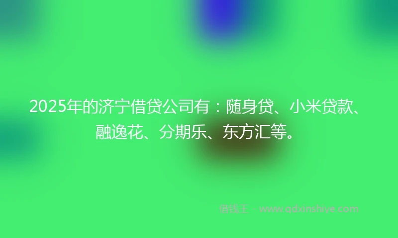 2025年的济宁借贷公司有：随身贷、小米贷款、融逸花、分期乐、东方汇等。