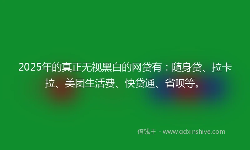 2025年的真正无视黑白的网贷有：随身贷、拉卡拉、美团生活费、快贷通、省呗等。