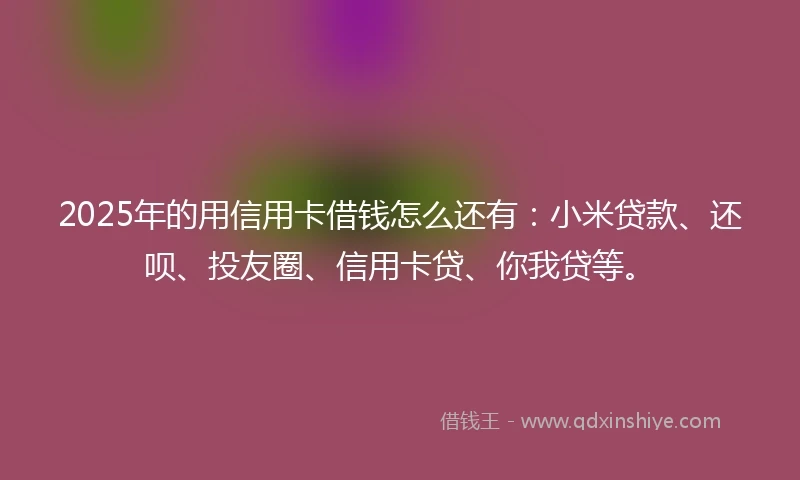 2025年的用信用卡借钱怎么还有：小米贷款、还呗、投友圈、信用卡贷、你我贷等。