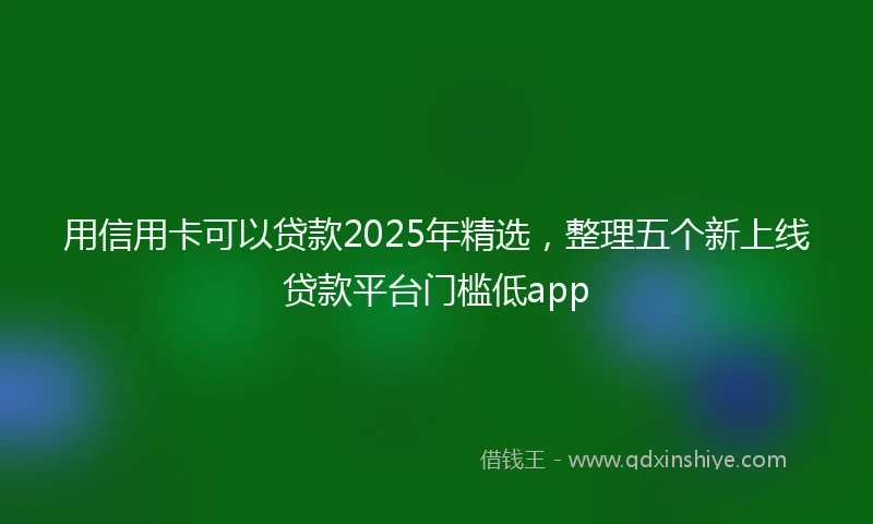 用信用卡可以贷款2025年精选，整理五个新上线贷款平台门槛低app