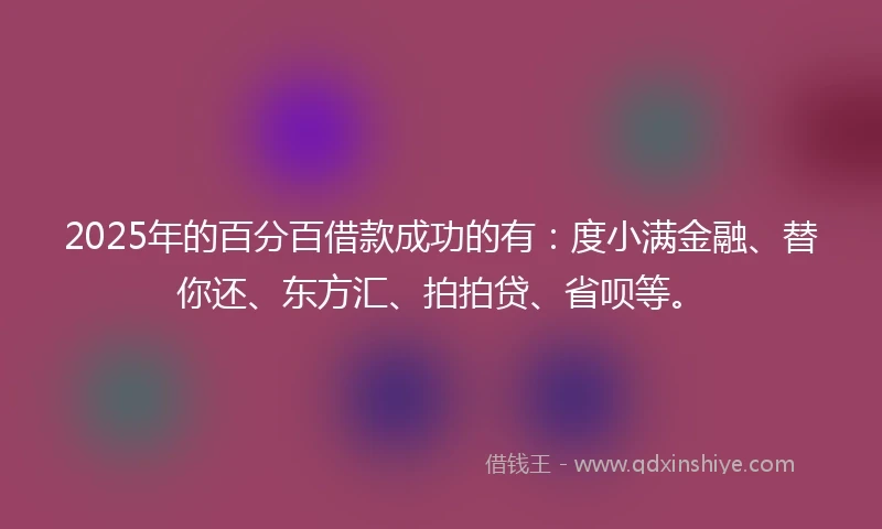 2025年的百分百借款成功的有：度小满金融、替你还、东方汇、拍拍贷、省呗等。