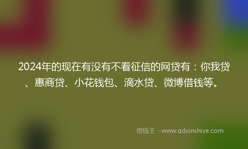 2024年的现在有没有不看征信的网贷有：你我贷、惠商贷、小花钱包、滴水贷、微博借钱等。