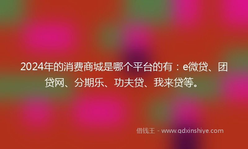 2024年的消费商城是哪个平台的有：e微贷、团贷网、分期乐、功夫贷、我来贷等。