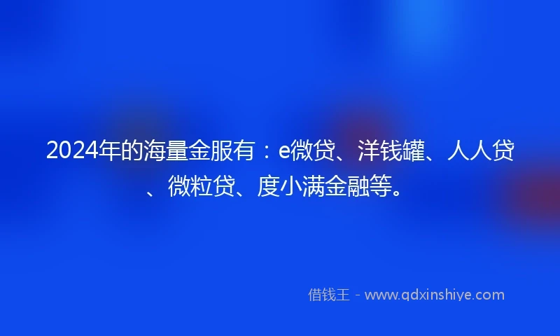 2024年的海量金服有：e微贷、洋钱罐、人人贷、微粒贷、度小满金融等。