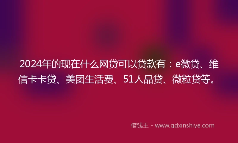 2024年的现在什么网贷可以贷款有：e微贷、维信卡卡贷、美团生活费、51人品贷、微粒贷等。