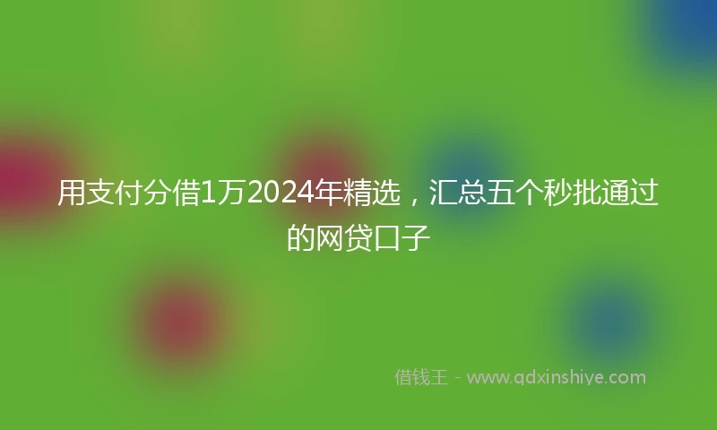 用支付分借1万2024年精选，汇总五个秒批通过的网贷口子
