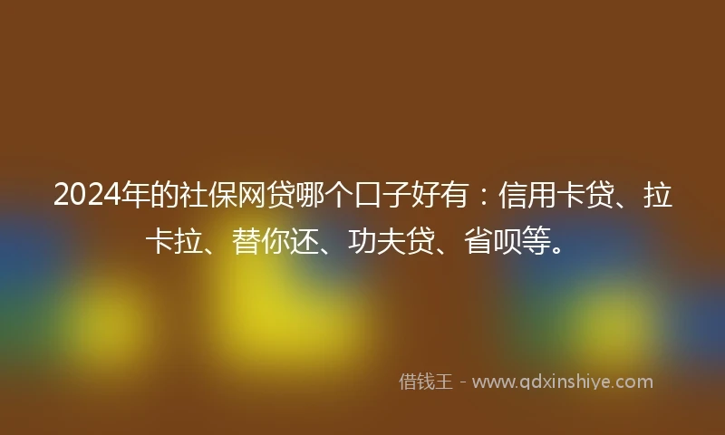 2024年的社保网贷哪个口子好有：信用卡贷、拉卡拉、替你还、功夫贷、省呗等。