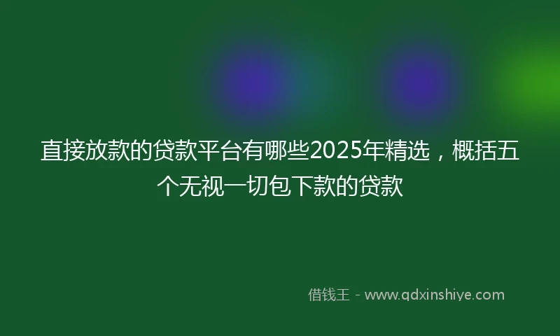 直接放款的贷款平台有哪些2025年精选，概括五个无视一切包下款的贷款