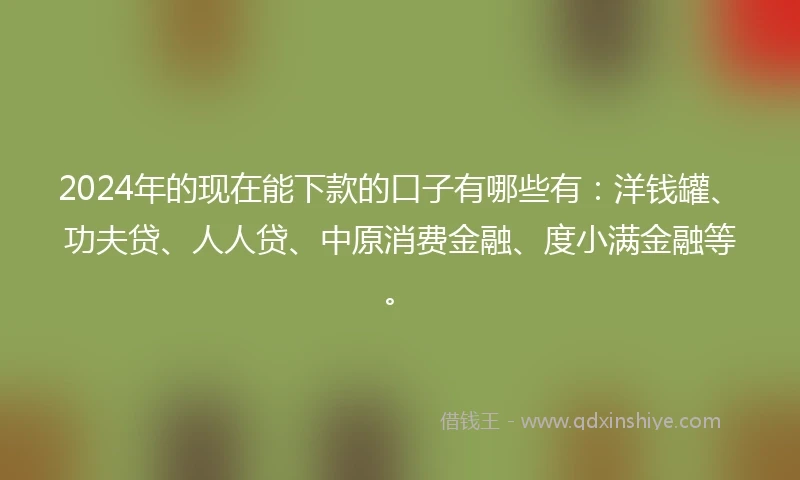 2024年的现在能下款的口子有哪些有：洋钱罐、功夫贷、人人贷、中原消费金融、度小满金融等。