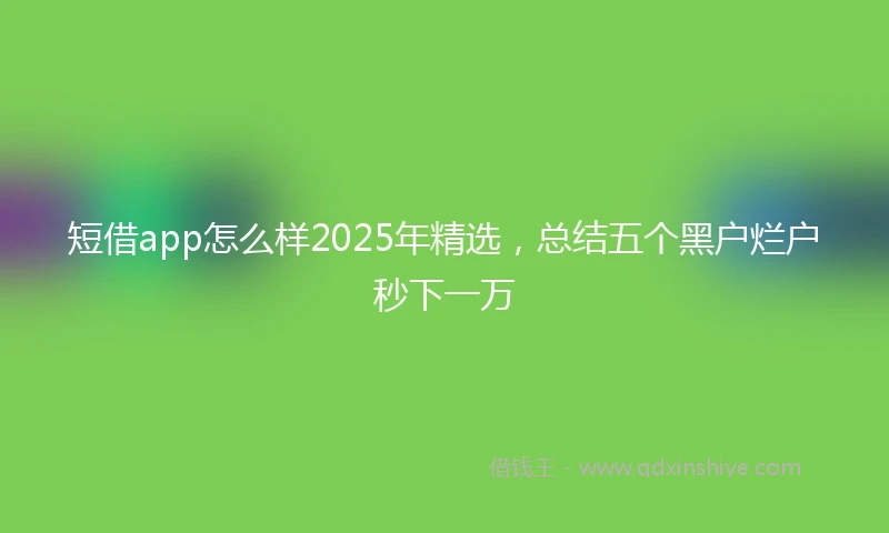 短借app怎么样2025年精选，总结五个黑户烂户秒下一万