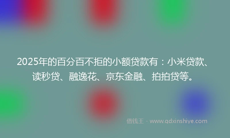 2025年的百分百不拒的小额贷款有：小米贷款、读秒贷、融逸花、京东金融、拍拍贷等。