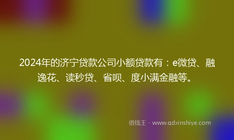 2024年的济宁贷款公司小额贷款有：e微贷、融逸花、读秒贷、省呗、度小满金融等。