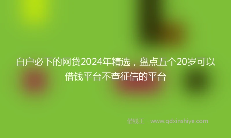 白户必下的网贷2024年精选，盘点五个20岁可以借钱平台不查征信的平台
