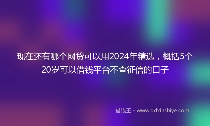 现在还有哪个网贷可以用2024年精选，概括5个20岁可以借钱平台不查征信的口子