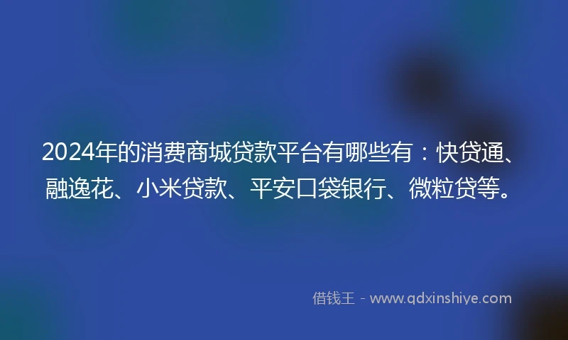 2024年的消费商城贷款平台有哪些有：快贷通、融逸花、小米贷款、平安口袋银行、微粒贷等。