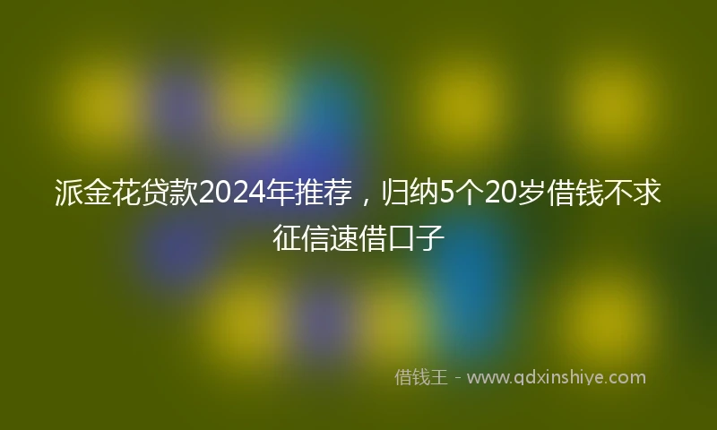 派金花贷款2024年推荐，归纳5个20岁借钱不求征信速借口子