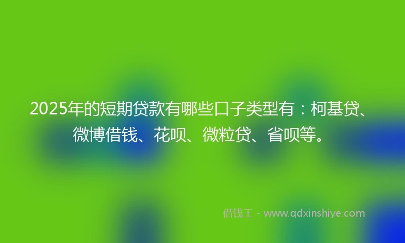 2025年的短期贷款有哪些口子类型有：柯基贷、微博借钱、花呗、微粒贷、省呗等。