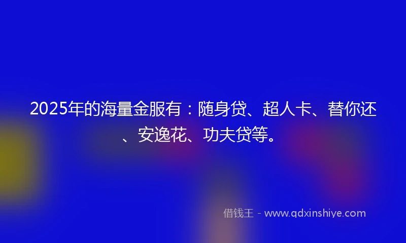 2025年的海量金服有：随身贷、超人卡、替你还、安逸花、功夫贷等。