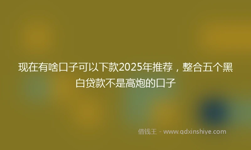 现在有啥口子可以下款2025年推荐，整合五个黑白贷款不是高炮的口子
