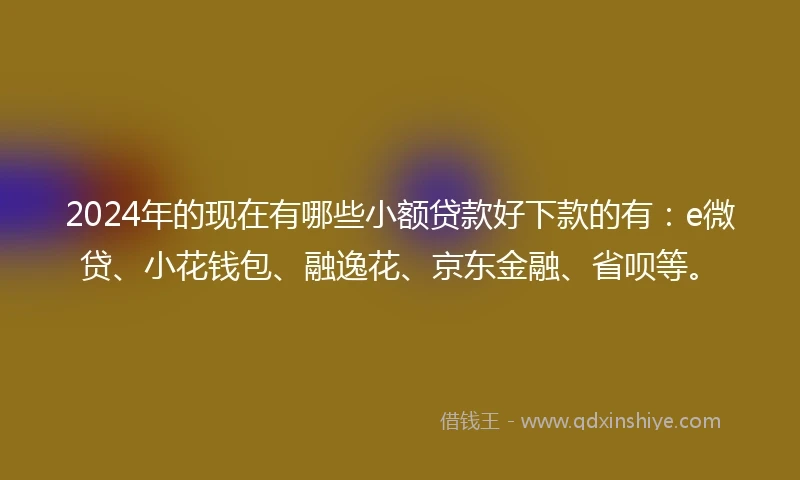 2024年的现在有哪些小额贷款好下款的有：e微贷、小花钱包、融逸花、京东金融、省呗等。
