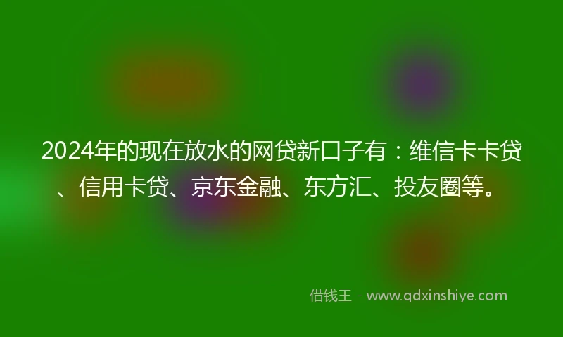 2024年的现在放水的网贷新口子有：维信卡卡贷、信用卡贷、京东金融、东方汇、投友圈等。
