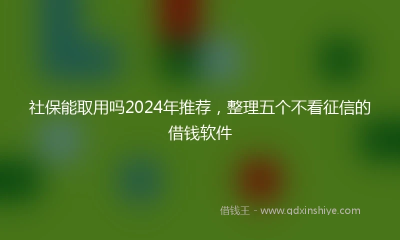社保能取用吗2024年推荐，整理五个不看征信的借钱软件