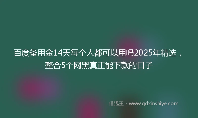 百度备用金14天每个人都可以用吗2025年精选，整合5个网黑真正能下款的口子