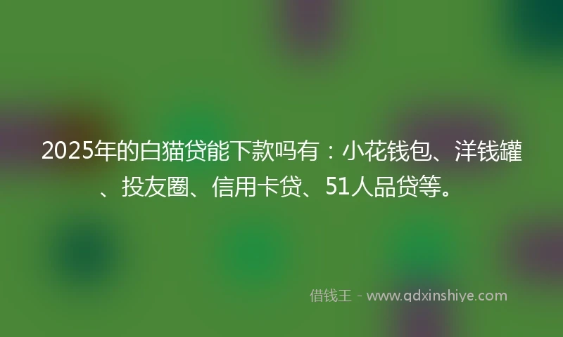 2025年的白猫贷能下款吗有：小花钱包、洋钱罐、投友圈、信用卡贷、51人品贷等。