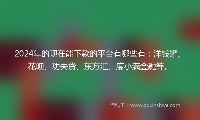 2024年的现在能下款的平台有哪些有：洋钱罐、花呗、功夫贷、东方汇、度小满金融等。