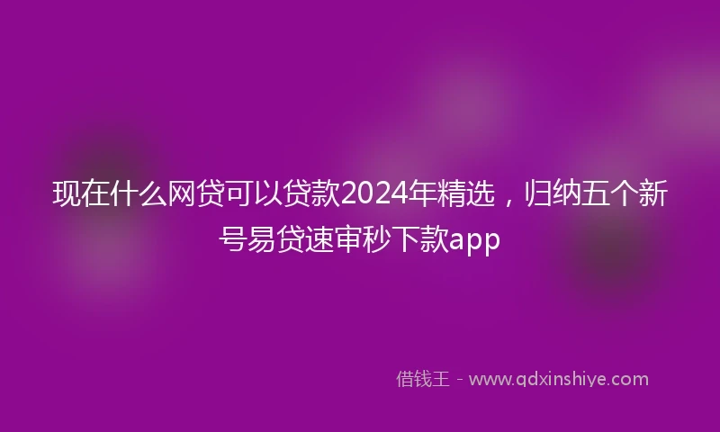 现在什么网贷可以贷款2024年精选，归纳五个新号易贷速审秒下款app