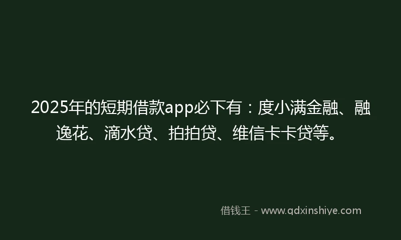2025年的短期借款app必下有：度小满金融、融逸花、滴水贷、拍拍贷、维信卡卡贷等。