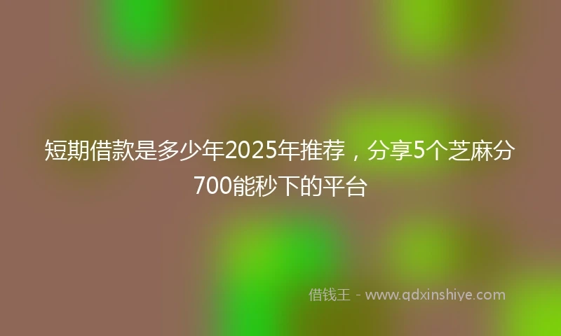 短期借款是多少年2025年推荐，分享5个芝麻分700能秒下的平台