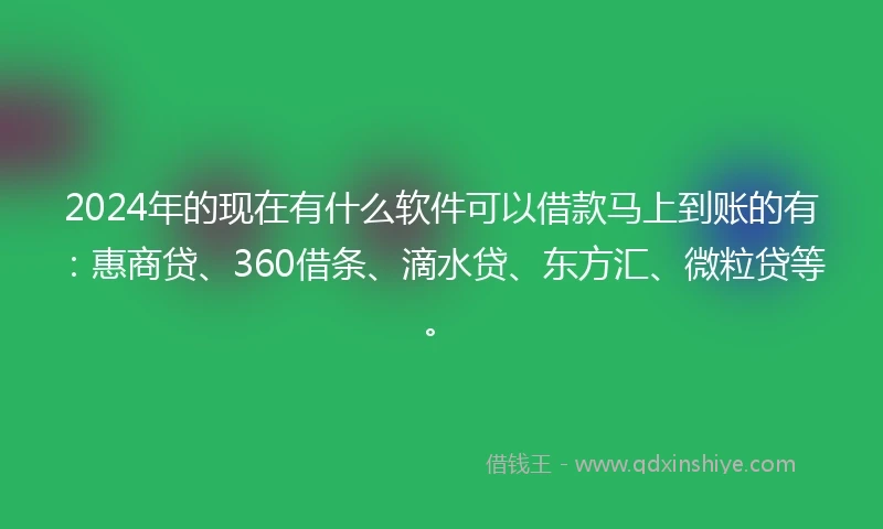 2024年的现在有什么软件可以借款马上到账的有：惠商贷、360借条、滴水贷、东方汇、微粒贷等。