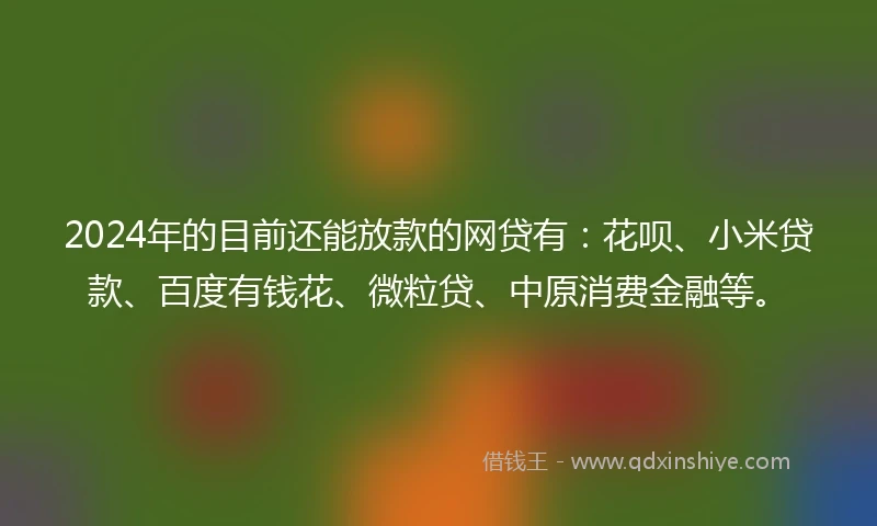 2024年的目前还能放款的网贷有：花呗、小米贷款、百度有钱花、微粒贷、中原消费金融等。